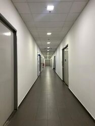Hh @ Kallang (D13), Factory #561529971